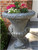Set of 2 Taupe Finished Outdoor Decorative Urn Planters 37"