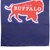 Blue and Red Let's Go Buffalo Outdoor Garden Flag 18" x 12.5"