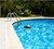 Cool Penguin Swimming Pool Chemical Dispenser - 13" - Blue and White