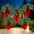 5-Count Red Grape Cluster Outdoor Patio String Light Set - 6ft Green Wire