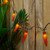 35-Count Orange Chili Pepper Patio String Light Set, 22.5ft Brown Wire