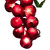 5-Count Red and Green Grape Cluster String Light Set, 8ft Brown Wire