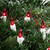Mini Christmas Light Set - Red - 10' White Wire - 50ct