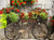 Green and Red Rusty Bicycle Outdoor Canvas Rectangular Wall Art Decor 30" x 40"