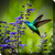 Purple and Green Hummingbird Outdoor Canvas Square Wall Art Decor 24" x 24"