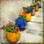 Yellow and Blue Bright Pots with Floral Plants Outdoor Canvas Square Wall Art Decor 24" x 24"