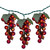 100-Count Red Winery Grape Patio Novelty Christmas Light Set, 5ft Green Wire