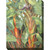 Brown and Green Hidden Paradise Outdoor Canvas Rectangular Wall Art Decor 40" x 30"