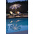 11ft Outdoor Octagon Patio Umbrella with Starlight, Navy Blue