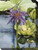 Green and Purple Lily Outdoor Canvas Rectangular Wall Art Decor 40" x 30"