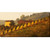 Brown and Yellow Piemonte Outdoor Canvas Rectangular Wall Art Decor 24" x 48"