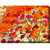 Orange and Red Blaze Outdoor Canvas Rectangular Wall Art Decor 30" x 40"