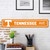 23.5" NCAA Tennessee Volunteers "Ave" Wall Sign