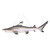 45.5" Awesome Black tip Shark Ceiling Mount Sculpture