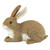 10" Brown and White Bashful the Bunny Outdoor Garden Statue
