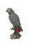 15" Gabon Parrot on Stump Outdoor Statue Garden