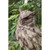 13.5" Eagle Owl on a Tree Stump Driftwood Outdoor Garden Statue