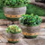 Jade Planters - 12" - Green and Black - Set of 3