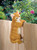 Climbing Cat Outdoor Garden Figurine - 11.25" - Orange and White