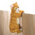 Climbing Cat Outdoor Garden Figurine - 11.25" - Orange and White