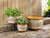 Earth-Tone Trim Planters - 12" - Gray and Brown - Set of 3