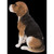 14.75" Beagle Dog Sitting Outdoor Garden Statue