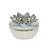 4" Silver and Clear Crystal Lotus Box Scented Candle with Lid