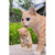 16.75" Tabby Mother Cat Carrying Kitten Outdoor Garden Statue