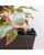 15" Coffee Brown Thin Rectangular Self-Watering Planter