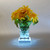 Clear and White LED Square Tabletop Light Base with 16 Bulbs