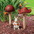 Set Of 2 Wild Mushroom Hand Painted Outdoor Garden Statues 25.5"