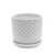 5" Solid White Tiny Dots Ceramic Planter with Saucer