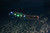 69.25" White LED Lighted Inflatable Swimming Pool Noodle Toy