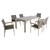 7-Piece Silver and Gray Contemporary Outdoor Furniture Patio Dining Set