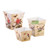 Set of 3 Vibrantly Colored Botanical Garden Planter 7"