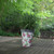 Set of 3 White and Pink Floral Printed Nesting Flower Planter 9.25"
