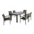 7-Piece Rhino Gray Contemporary Outdoor Furniture Patio Dining Set
