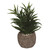 7" Green and Brown Easter Faux Succulent with Outdoor Planter