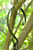 6" Black Steel Circular Bird Feeder Mounting Hook