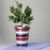 12" Red and White Striped Patriotic Outdoor Garden Planter Bucket