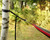 9ft Black Heavy Duty Micro Strap for Camping Hammocks