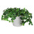 8" White Ribbed Rim Round Eco-Friendly Flower Planter