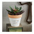 6" White and Brown Round Clay Planter with "I Wet My Plants" Design