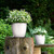 11" Matte White Classico Round Outdoor Planter with Water Reservoir