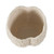 5.75" Cream White Textured Outdoor Patio Planter