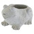 9" Gray Frog Shaped Spring Flower Pot Planter