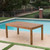 9-Piece Teak Brown Finish Outdoor Furniture Patio Expandable Dining Set - Pale Brown Cushions