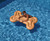 59.5" Inflatable Brown Dog Bone Swimming Pool Floating Lounge Raft