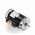 1.5 HP Single Phase Dual Speed C Face Replacement Pool Pump Motor