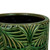 5" Green and Tan Ceramic Leaf Pattern Planter With Reservoir